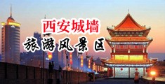 污女被操淫鸡巴牛鞭中国陕西-西安城墙旅游风景区
